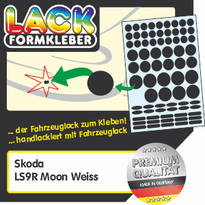 Skoda Lack LS9R Moon Weiss Spot-Repair. Kleinere Skoda Lack LS9R Beschädigungen ohne Lackstift ausbessern. Kennzeichenlöcher überkleben.